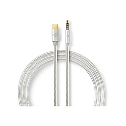 Cable USB-C vers Jack 3,5 mm - 1 m