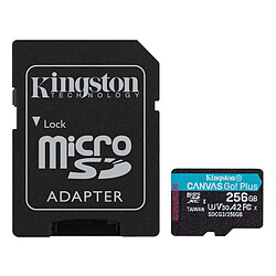 Kingston Canvas Go! Plus SDCG3/256GB