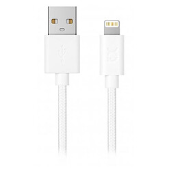 Câble USB-A vers Lightning (blanc) - 1,8 m