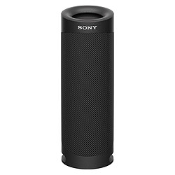 Enceinte sans fil 2.0 (Stéréo) Sony