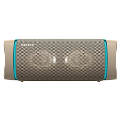Sony SRS-XB33 Gris - Enceinte portable