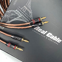 Real Cable Elite 300 - 2 x 5m