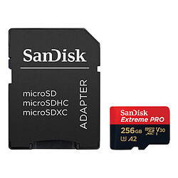 SanDisk Extreme Pro microSDXC UHS-I U3 V30 A2 256 Go + Adaptateur SD SanDisk Extreme Pro microSDXC UHS-I U3 V30 A2 256 Go + Adaptateur SD