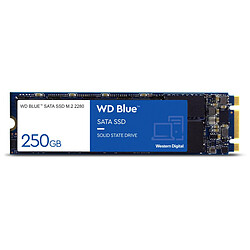 Western Digital WD Blue M.2 - 250 Go