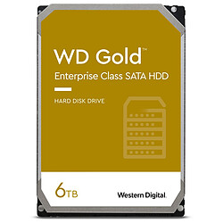 Western Digital WD Gold - 6 To - 256 Mo