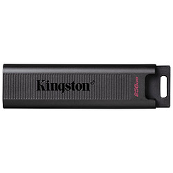 Kingston DataTraveler Max - 256 Go