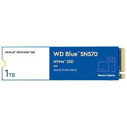 Western Digital WD Blue SN570 - 1 To
