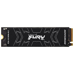 Kingston Fury Renegade SSD - 1 To
