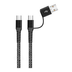 Akashi Câble 2-en-1 USB-C vers USB-C / USB-A - 1 m