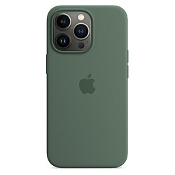 Apple Coque en silicone avec MagSafe pour iPhone 13 Pro - Eucalyptus