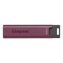 Kingston DataTraveler Max 512 Go (USB-A)
