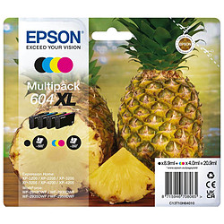 Epson Ananas Multipack 604XL
