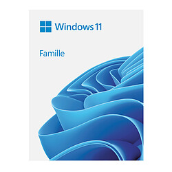 Microsoft Windows 11 Home 64 bits (clé USB)