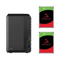 Synology DS223 + 2 x Seagate IronWolf - 4 To - 256 Mo