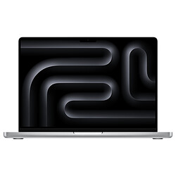 Apple MacBook Pro M4 Pro 14" Argent 24 Go/1 To (MX2F3FN/A)