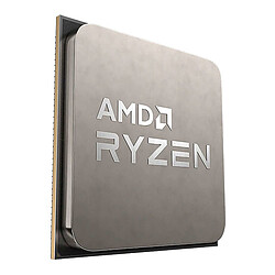 AMD Ryzen 5 5500 - Version tray