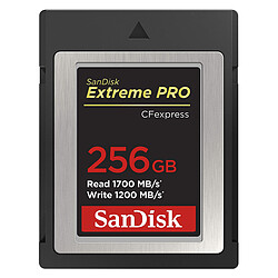 SanDisk Extreme Pro CFexpress Type B 256 Go
