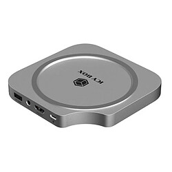 ICY BOX IB-DK100
