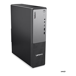 Lenovo ThinkCentre neo 55s Gen 6 SFF (13G00039FR)