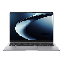 ASUS ExpertBook P3 PM3606CHA-MB0228X