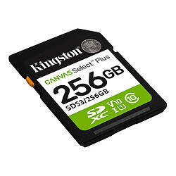 Kingston Canvas Select Plus SDS3/256GB