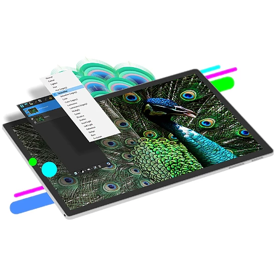 Logiciel image et son PaintShop Pro Ultimate 2023 - Autre vue