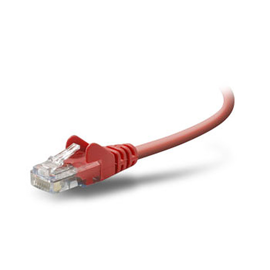Câble RJ45 Belkin Câble Ethernet RJ45 UTP Rouge - 2m Snagless