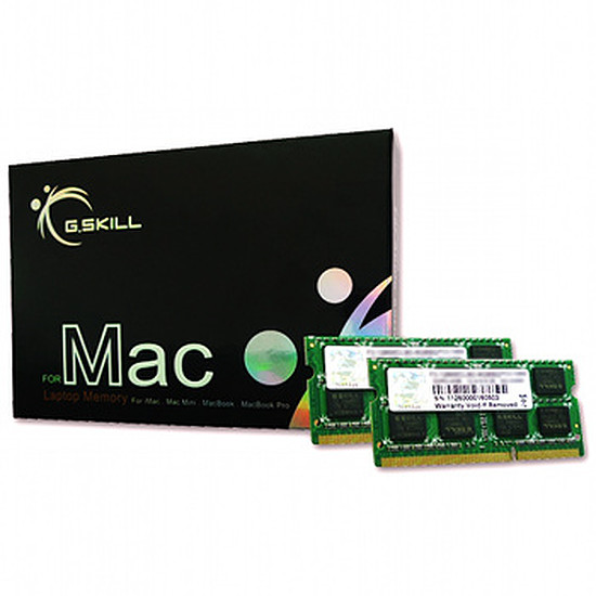 Mémoire G.Skill FA-10666CL9D-8GBSQ - SO-DIMM DDR3 2 x 4 Go PC10600