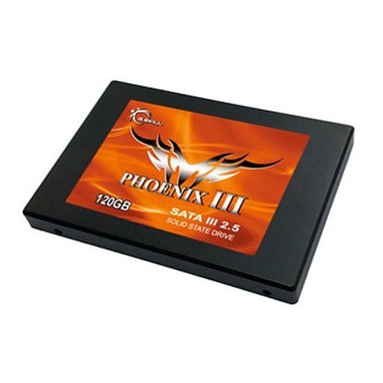 Disque SSD G.Skill Phoenix III - 120 Go