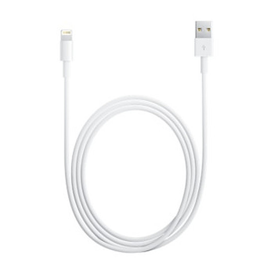 Adaptateurs et câbles Apple Câble Lightning / USB