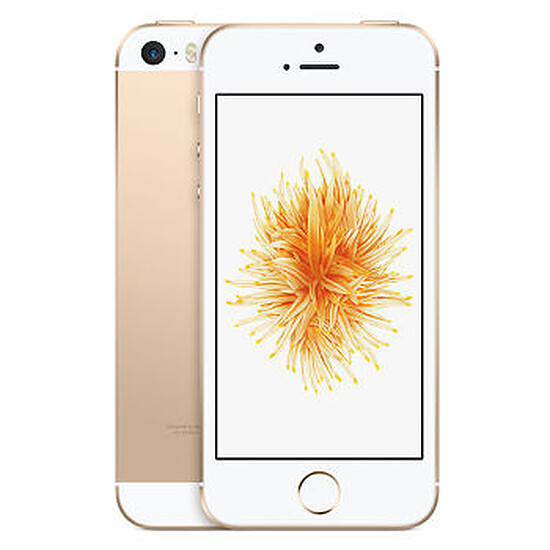 Smartphone Apple iPhone SE (or) - 16 Go