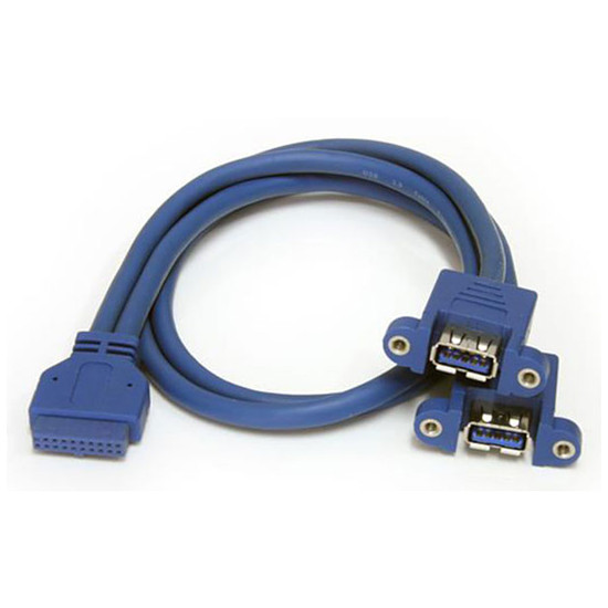 Câble USB StarTech.com Rallonge USB 3.0 interne / 2 ports sur panneau