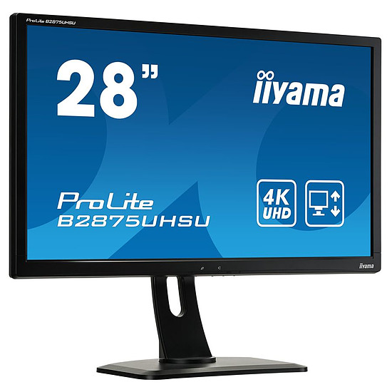 Écran PC Iiyama ProLite B2875UHSU-B1
