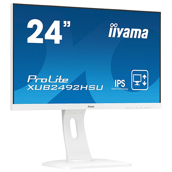 Écran PC Iiyama ProLite XUB2492HSU-W1