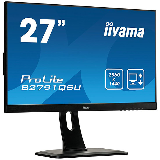 Écran PC Iiyama ProLite B2791QSU-B1 - Occasion