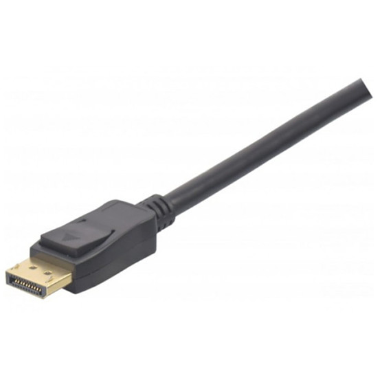 Câble DisplayPort Dexlan Câble verrouillable DisplayPort 1.2 premium - 2 m