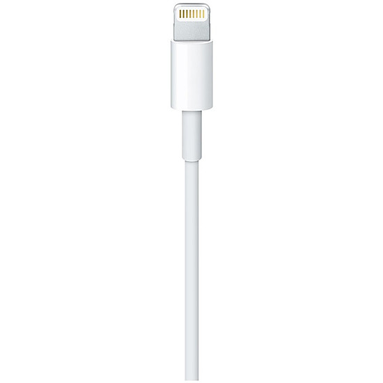 Câble USB Apple Câble Lightning vers USB-C (1 m)
