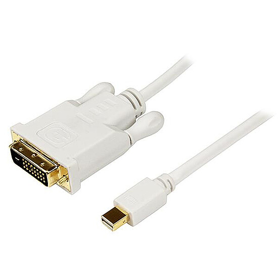 Câble DVI StarTech.com Câble mini DisplayPort / DVI-D Dual Link - 1,8 m