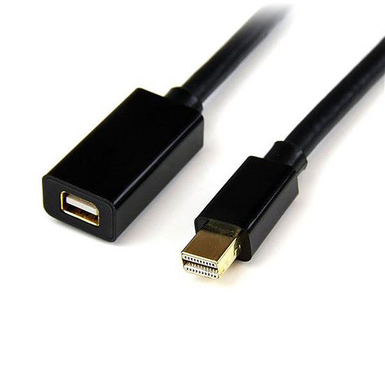 Câble DisplayPort StarTech.com Câble d'extension mini DisplayPort - 90 cm