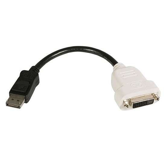 Câble DisplayPort Adaptateur DisplayPort vers DVI-D