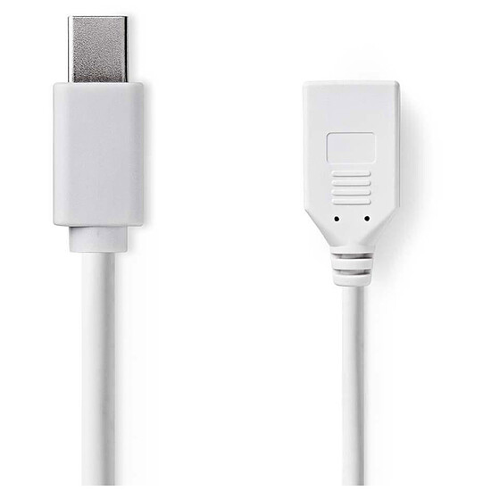 Câble DisplayPort NEDIS Câble Mini DisplayPort mâle vers DisplayPort femelle - Autre vue