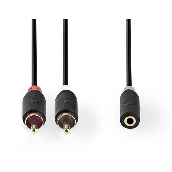 Câble Jack NEDIS Câble Audio Stéréo 2 x RCA Mâles vers 3.5 mm Femelle - 20cm
