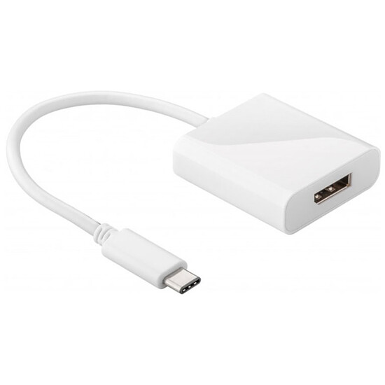 Adaptateur USB Adaptateur USB 3.1 type C vers DisplayPort - Autre vue