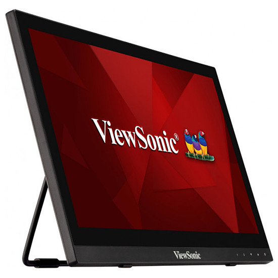 Écran PC ViewSonic TD1630