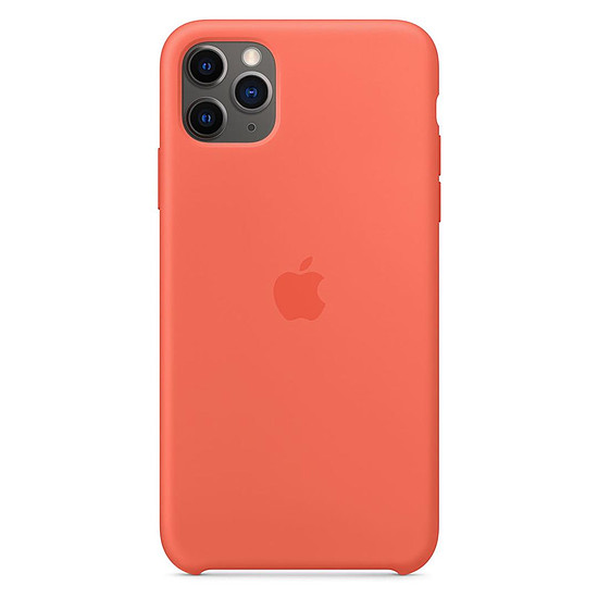 Coque et housse Apple Coque en silicone (Rose des sables) - iPhone 11 Pro Max