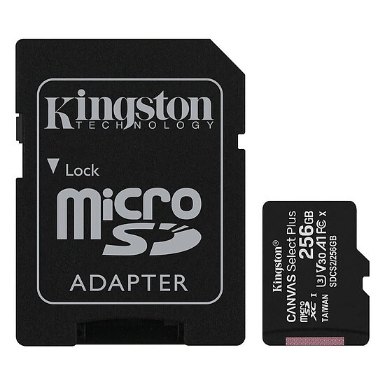 Carte mémoire Kingston Canvas Select Plus SDCS2/256GB