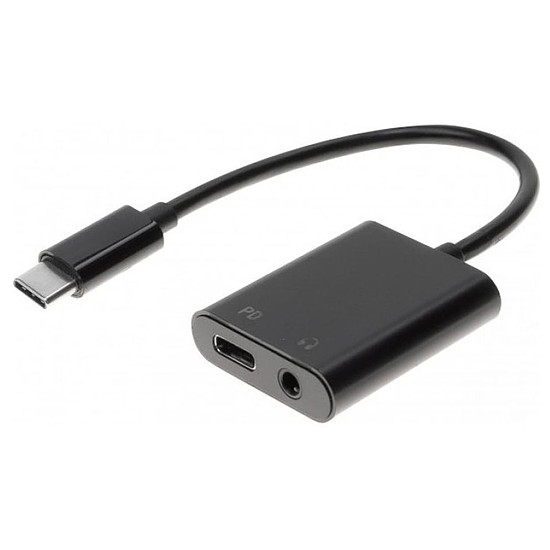 Adaptateur USB-C vers USB-C + Jack 3.5 mm - Câble USB Générique sur