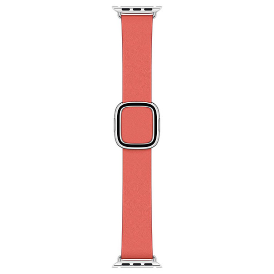 Accessoires montre et bracelet Apple Bracelet Boucle moderne rose agrume 40 mm - Medium