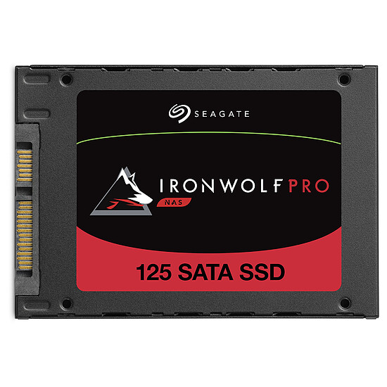 Disque SSD Seagate IronWolf 125 Pro - 1920 Go