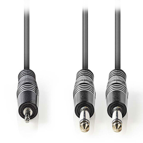 Câble Jack Nedis Câble Audio Stéréo 2 x Jack 6.5 mm mâles vers Jack 3.5 mm mâle - 5 m - Autre vue